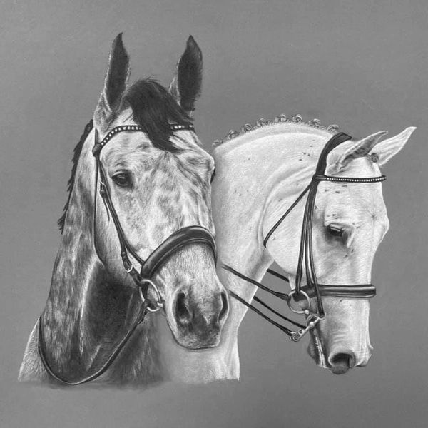 A drawing by Hanna Nash Art of my  home bred horses Wintz Charming “ Folly” and Loyalty “ Dolly”