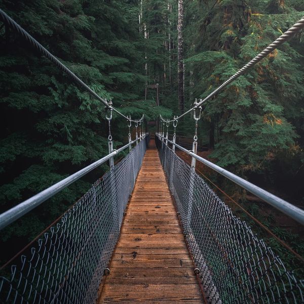 Suspension bridge
