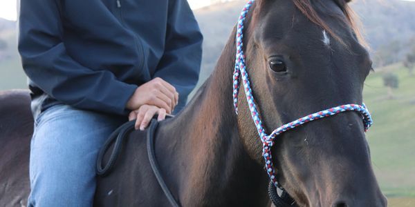 bareback riding