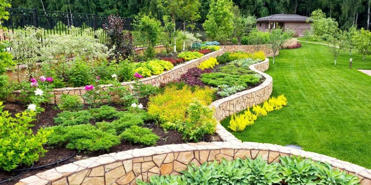 Large garden landscaping with stone borders, lush plants, trees and green lawn in a residential zone