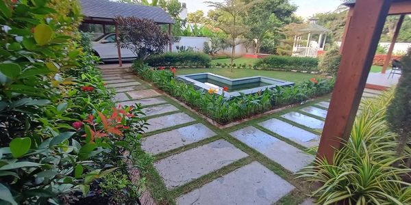 Garden maintenance services including pruning, cleaning and care for healthy outdoor spaces