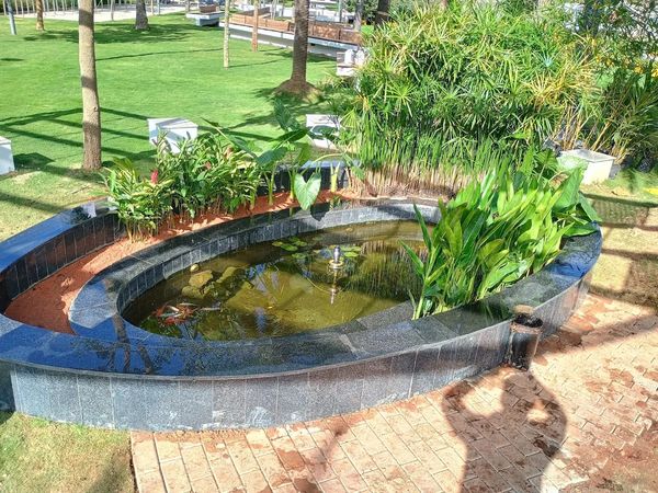 Outdoor water features like fountains and ponds adding beauty and calm to garden landscapes