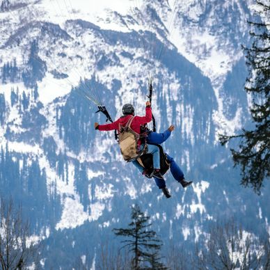 Two people paragliding with snowy mountains in the background.