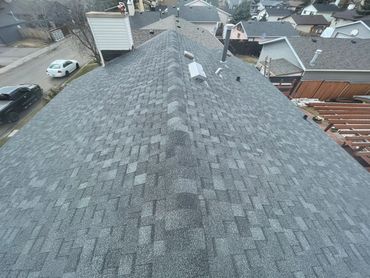 Shingle Roof