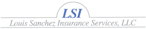 New LSI Website