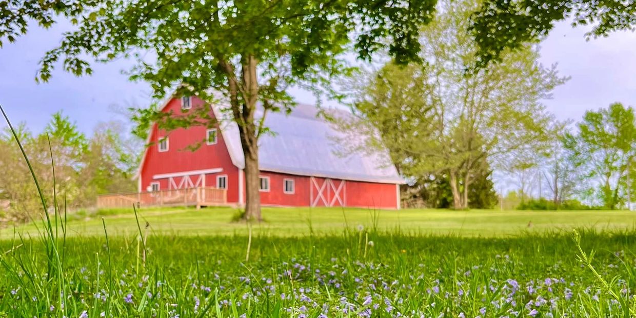 Springtime wild flowers at The Ruby Loft Wedding Barn & Event Venue