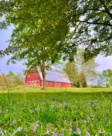 Springtime at The Ruby Loft Wedding Barn & Event Venue