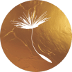 Integrative Healing Center 
