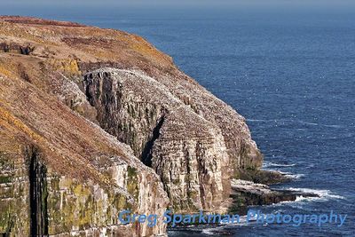 Bird Rock Sea Stack rises from the sea.