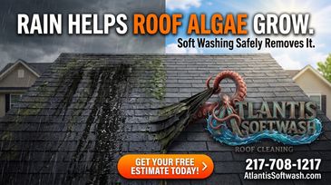Roof algae growth and soft washing advertisement.