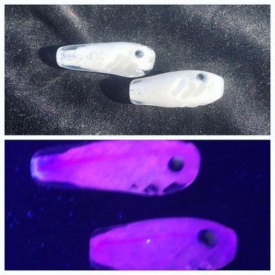 WHAT YOU SEE VS WHAT THE FISH SEE
