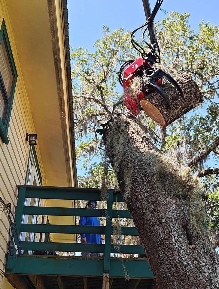 Tree Solutionz | Professional Tree Service | Free Estimates
