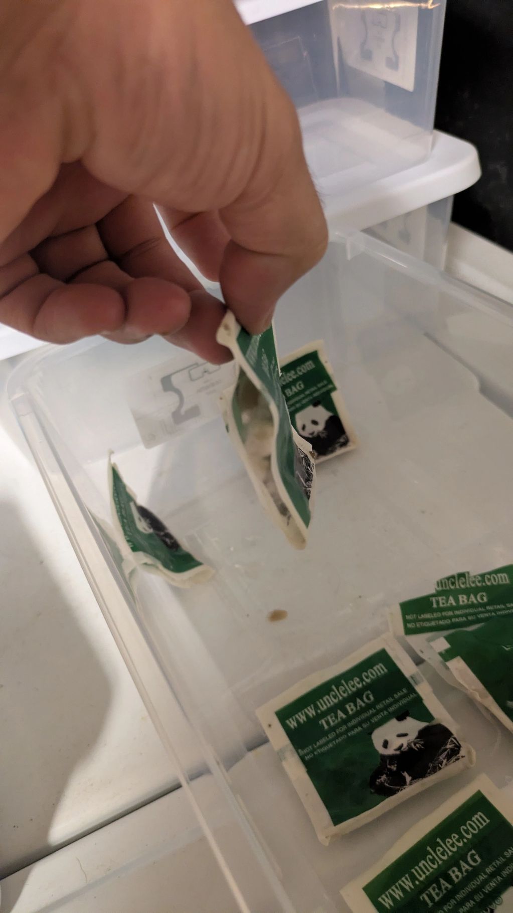 Hand holding a tea bag over a clear plastic container with other tea bags.