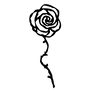 AR