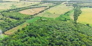 Aerial view of farmland and forest areas.