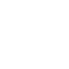 Di Festa