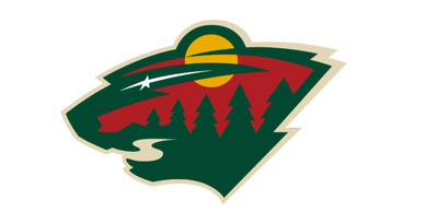 Minnesota Wild logo. Sponsorship representation, project launch