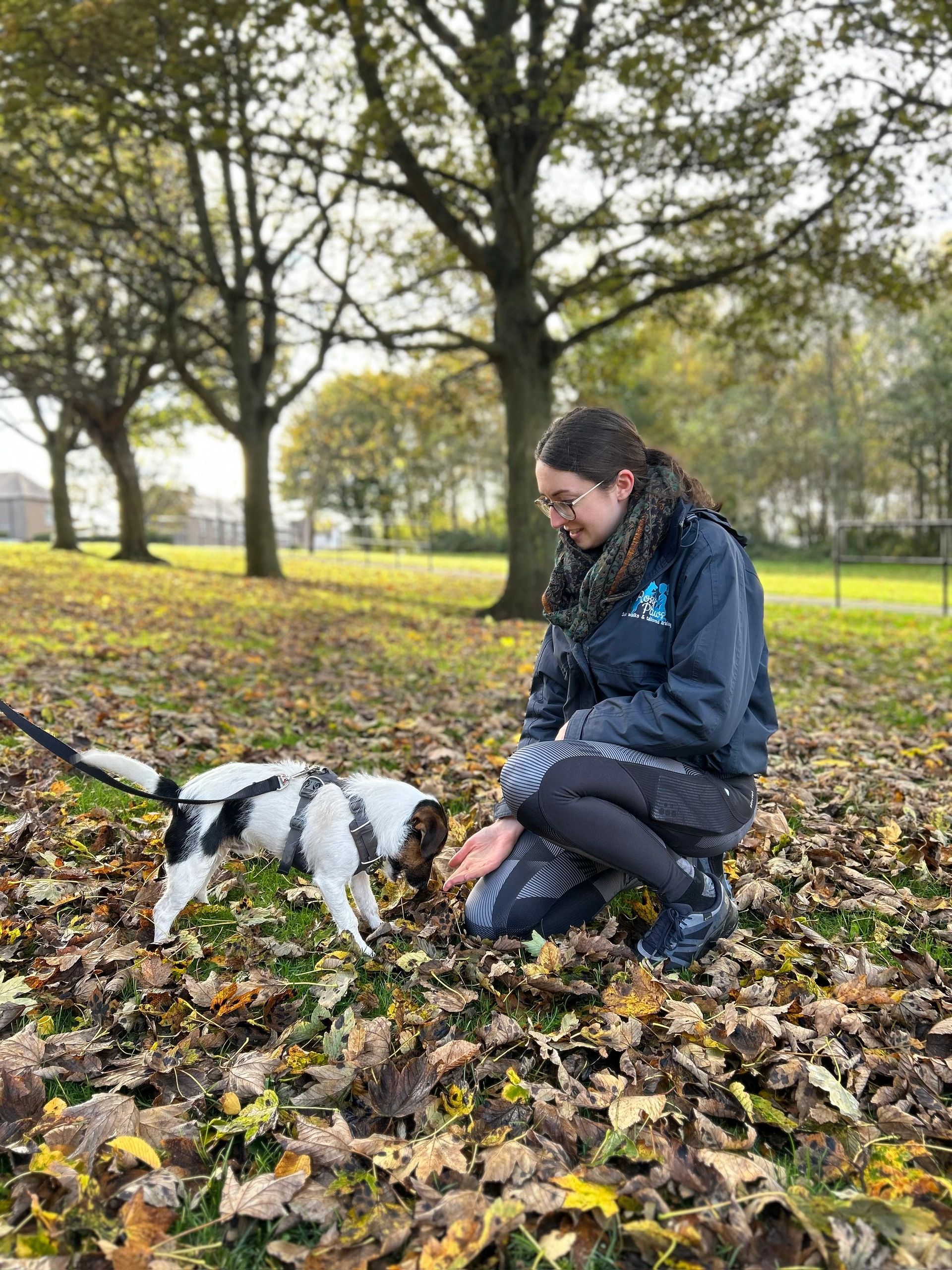 Why Do Dogs Jump Up At Your Face