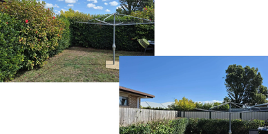 Before and after of a Large hedge, Trimmed back into shape by Sparkles Tree Removal.