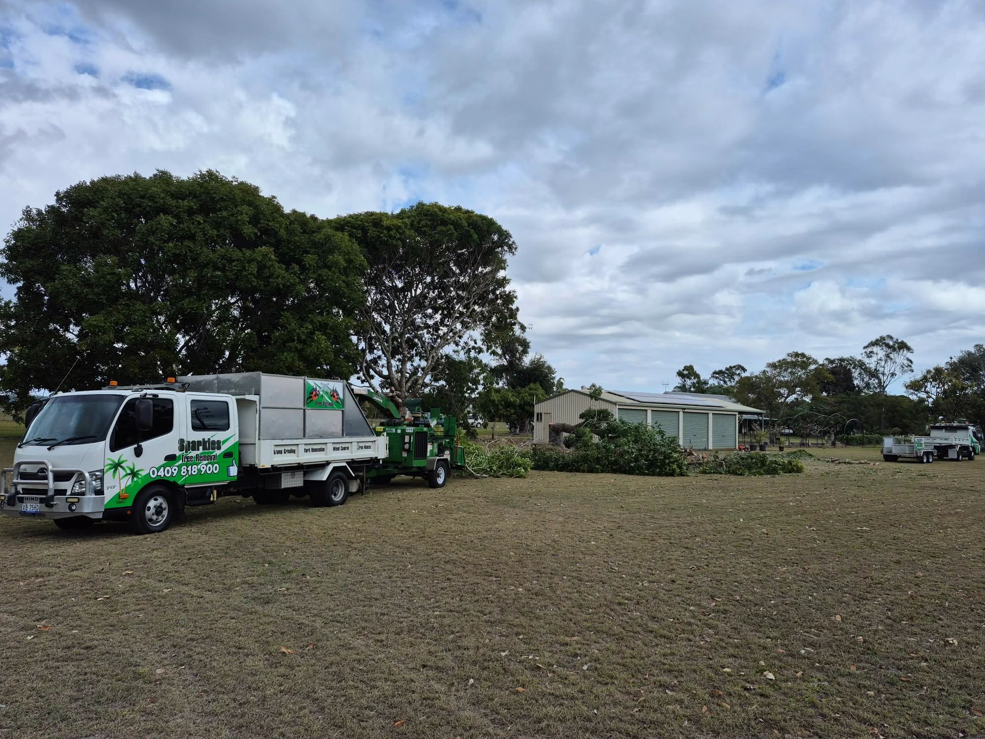 Large Tree Removal overhanging shed safely removed by Sparkles Tree Removal Arborist. 