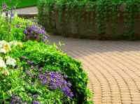 Landscape Insurance Coverage