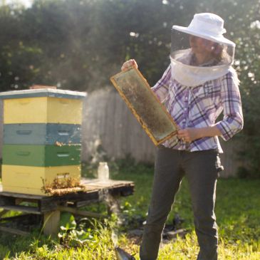 A beekeeper inspecting a honeycomb frame outdoors.