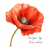 Designs by June-Marie