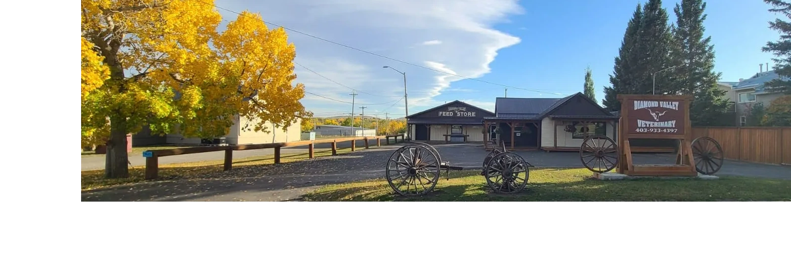 Diamond Valley Veterinary Clinic Ltd. Home