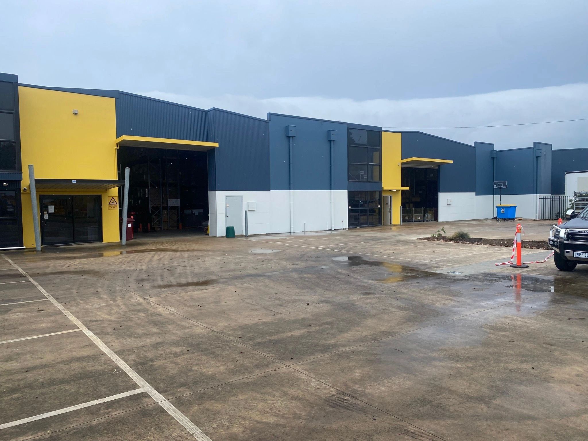 Turning Heads Painting