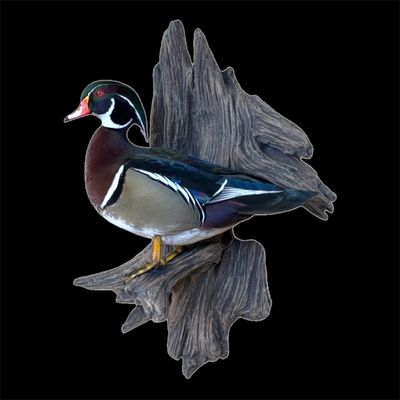 Standing Wood Duck drake wall mount with artificial driftwood