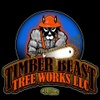 Timber Beast Treeworks LLC