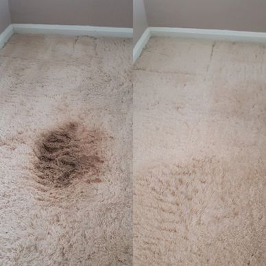 Whiskey and coke stain removal from a thick deep pile bedroom cream coloured carpet 