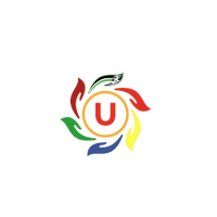 ROUCA 
Romanian Organisation 
 for 
Community  Advancement 
CIC