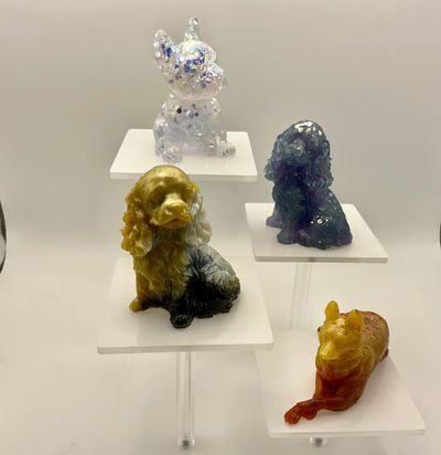 all the dog toys kept together