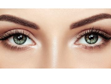 eye lash tint, Eye brow tint, eye lash lift, eye brow shape, eye brow lamination, refectocil , 