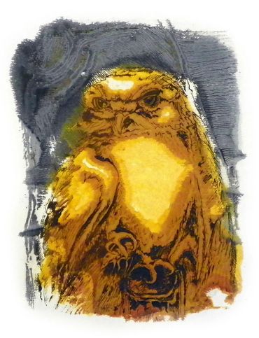 "Owl" silkscreen by Inez Running-rabbit.