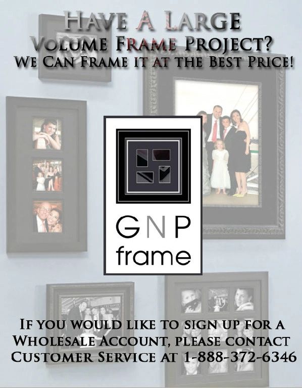 Large Frame Project Flyer