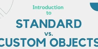 Introduction to standard vs. custom objects text graphic.