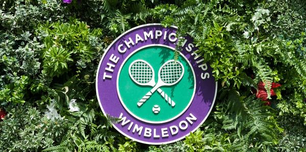 The Championships, Wimbledon Logo in some foliage