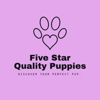 Five Star Quality Puppies 