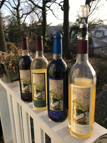 Enjoy local wine on a lovely deck, in a peaceful wooded neighborhood.