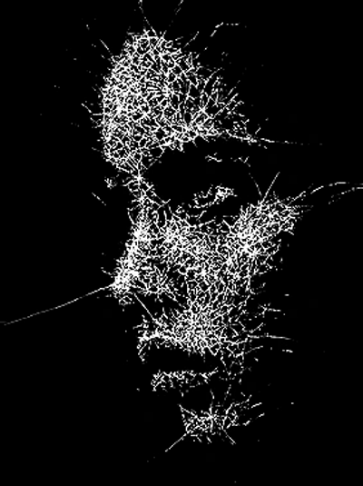 Abstract digital art of a face made from white interconnected lines on black.