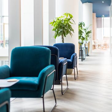 Modern blue chairs in a bright, airy lounge with green plants.