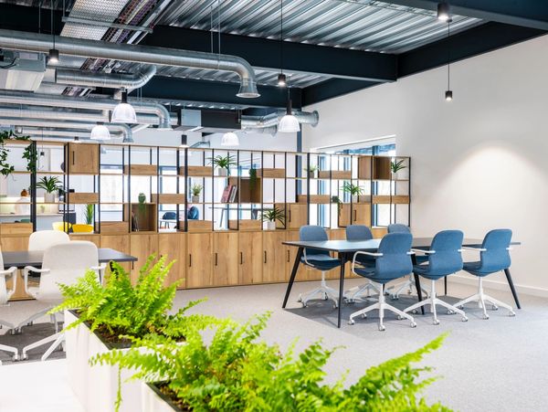 Modern office space with blue chairs and wooden shelves.