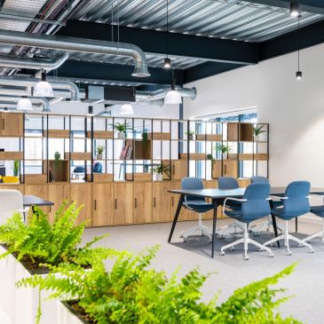 Modern office space with blue chairs and wooden shelves.