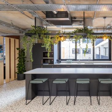 Modern kitchen with hanging plants and bar stools.