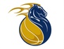 mimustangs.com