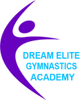 Dream Elite Gymnastics Academy