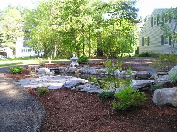 Water feature with neatly mulched garden edges