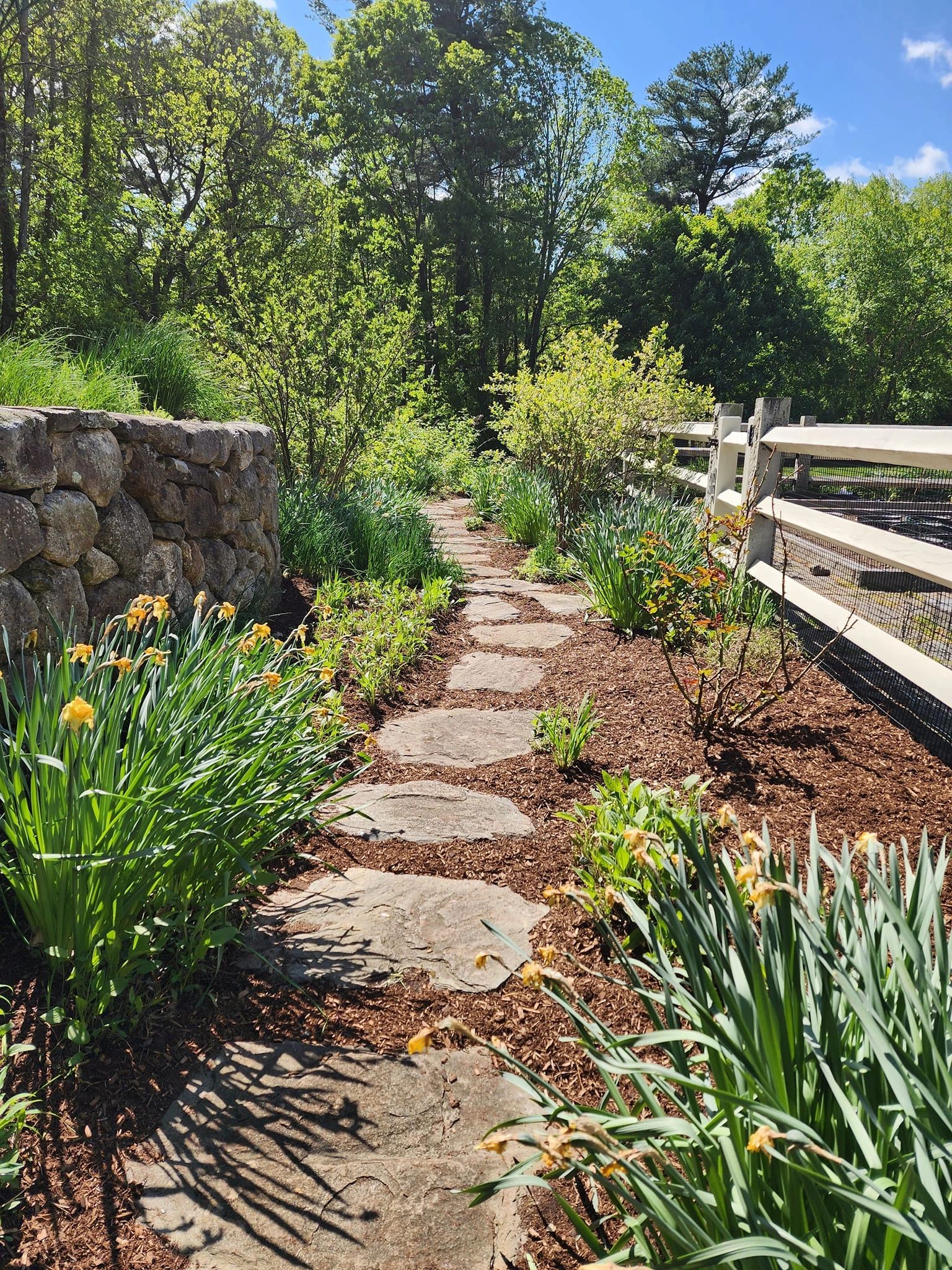 Stone path along a garden wall with mulched beds